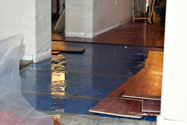 Professional Basement Flooding technician working in Thompsons, TX